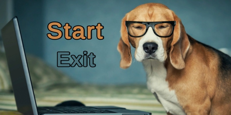 Bouncy Beagles – screenshot 1