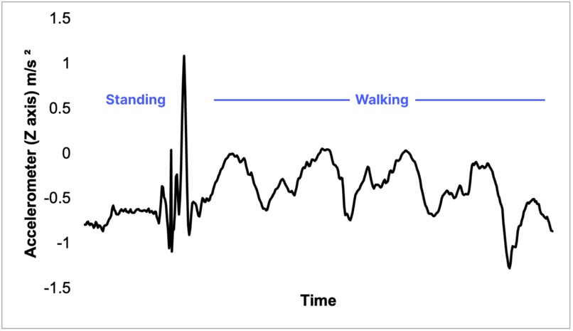 Personal Doctr. – screenshot 4