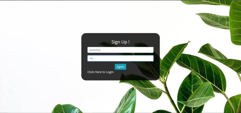 MindCare - Mental HealthCare Web App – screenshot 5