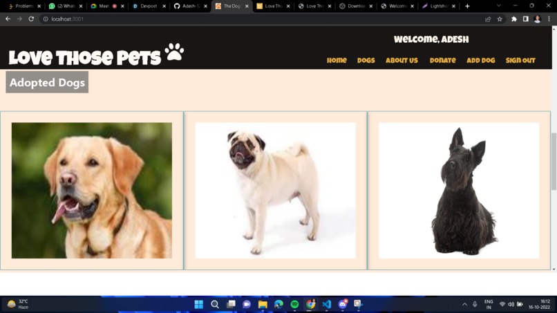 Love Those Pets! – screenshot 4