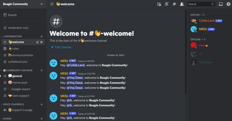 Beagle World – screenshot 5