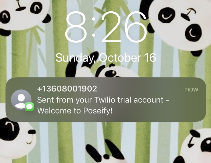 Poseify – screenshot 6