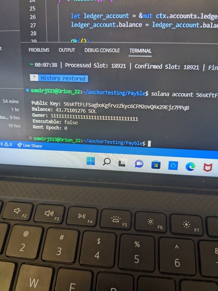 Payble – screenshot 3