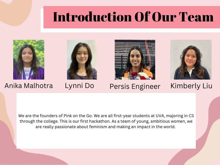 Pink on the Go  – screenshot 9