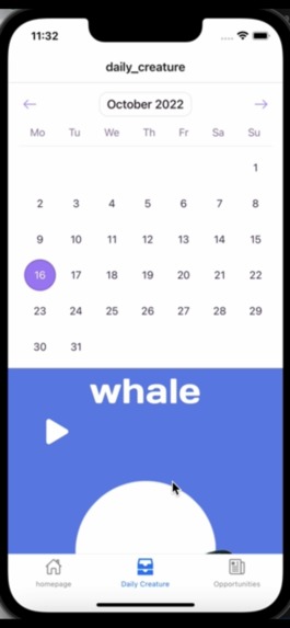 Daily Marine Life – screenshot 1