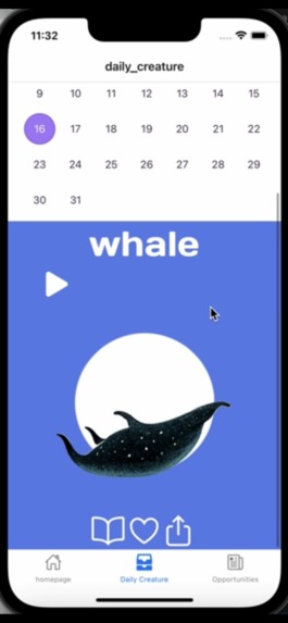 Daily Marine Life – screenshot 2