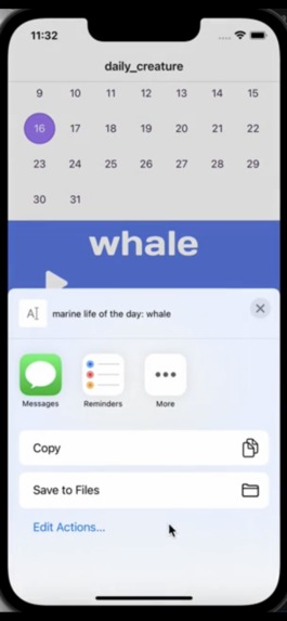 Daily Marine Life – screenshot 3