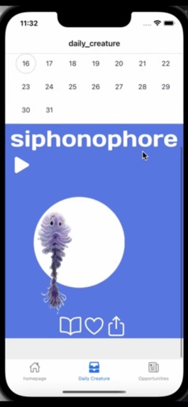 Daily Marine Life – screenshot 4