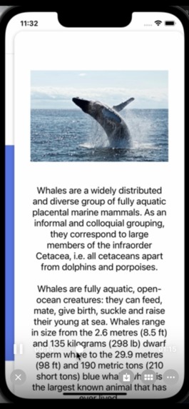 Daily Marine Life – screenshot 6