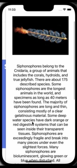 Daily Marine Life – screenshot 7