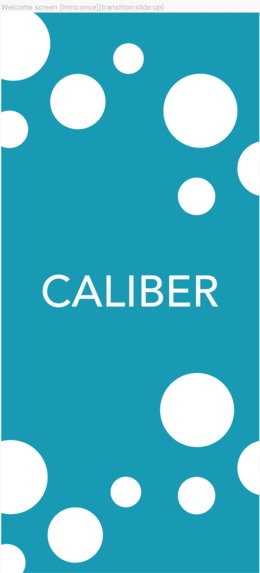 Caliber – screenshot 1