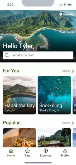 TravelTea – screenshot 17