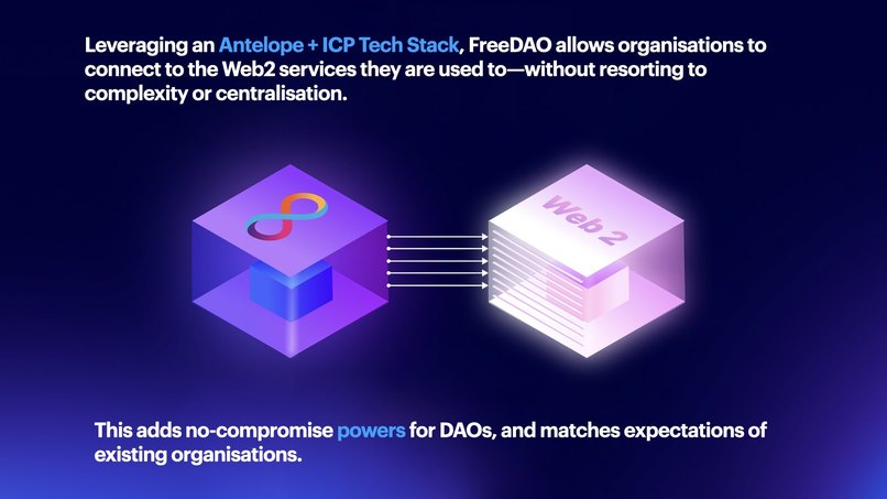 FreeDAO — DAO tools for Everyone – screenshot 20