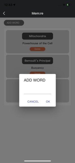 Mem:re – screenshot 1
