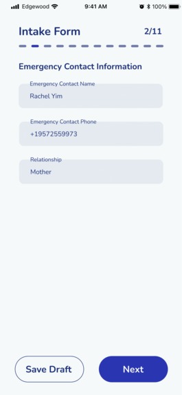 BRDG – screenshot 18