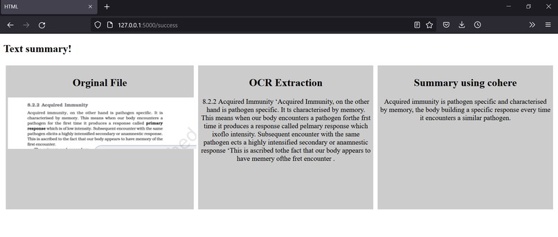 Summarizer NLP – screenshot 2
