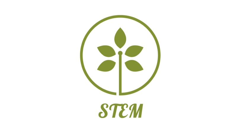 STEM – screenshot 1