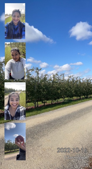MemorMEs – screenshot 4