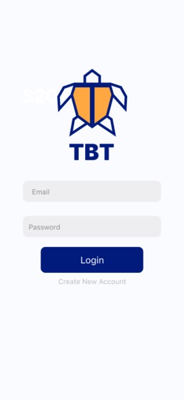 Turtle Budgeting Tool – screenshot 2