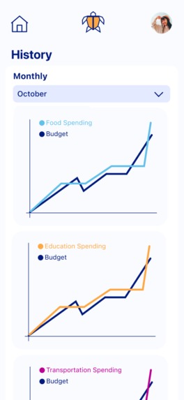 Turtle Budgeting Tool – screenshot 9