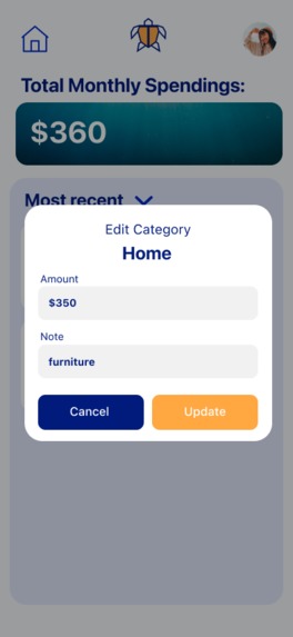 Turtle Budgeting Tool – screenshot 7