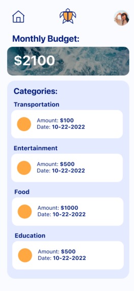 Turtle Budgeting Tool – screenshot 5