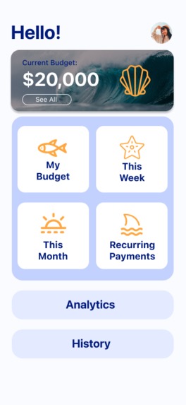 Turtle Budgeting Tool – screenshot 4