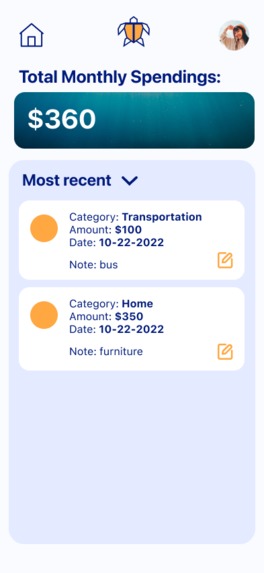 Turtle Budgeting Tool – screenshot 6