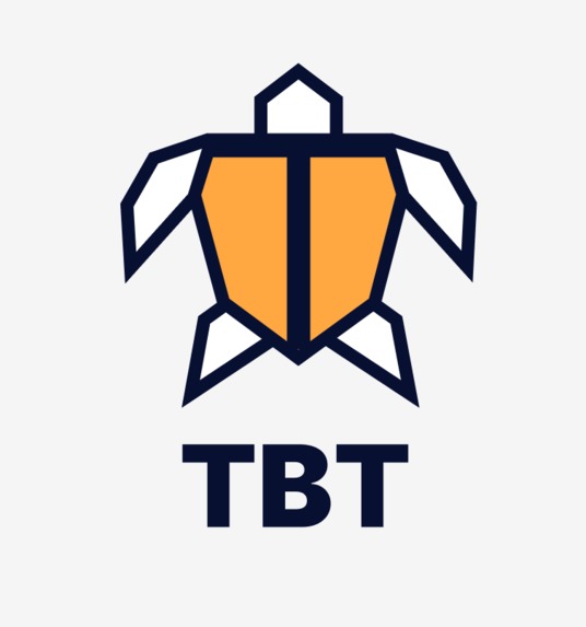 Turtle Budgeting Tool – screenshot 1