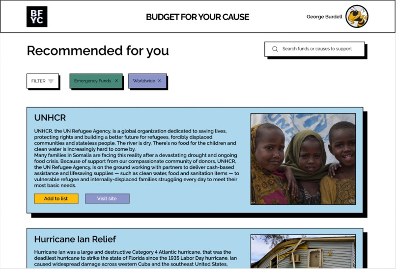 Budget For Your Cause – screenshot 3