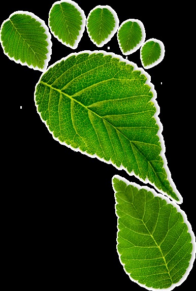 Carbon e-Race – screenshot 8