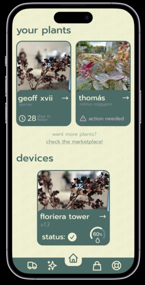 Terraswap – screenshot 3