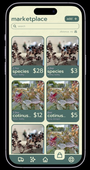Terraswap – screenshot 4