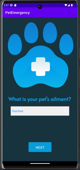 Pet Emergency – screenshot 2
