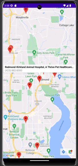 Pet Emergency – screenshot 4