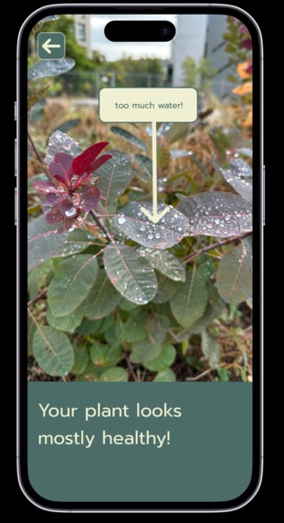 Terraswap – screenshot 5