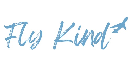 Fly Kind – screenshot 1