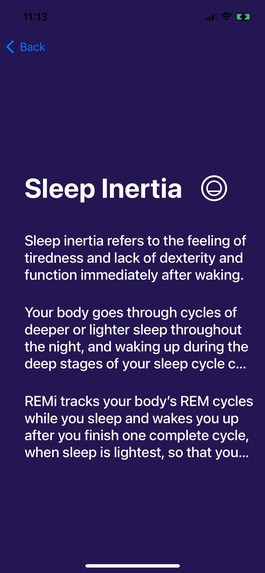 REMi – screenshot 1