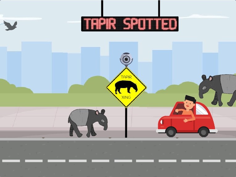 SavTap - Save Tapirs  – screenshot 8