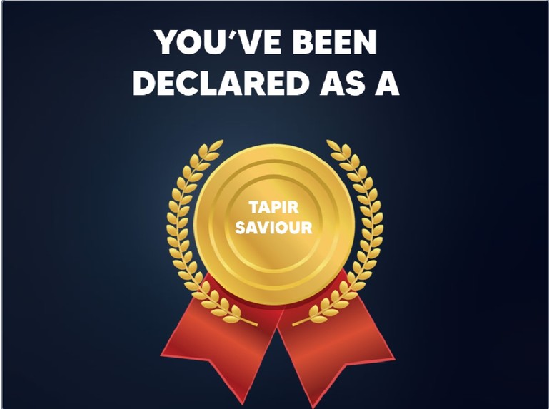 SavTap - Save Tapirs  – screenshot 7