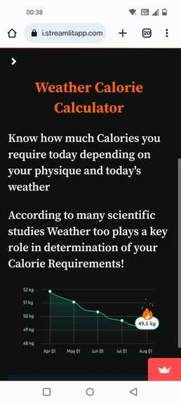 Weather Calorie Calculator – screenshot 4
