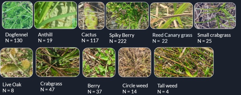Regenerative Agriculture AI – screenshot 1