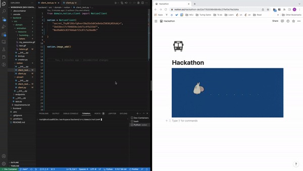 Picturesque Beautifications – screenshot 1