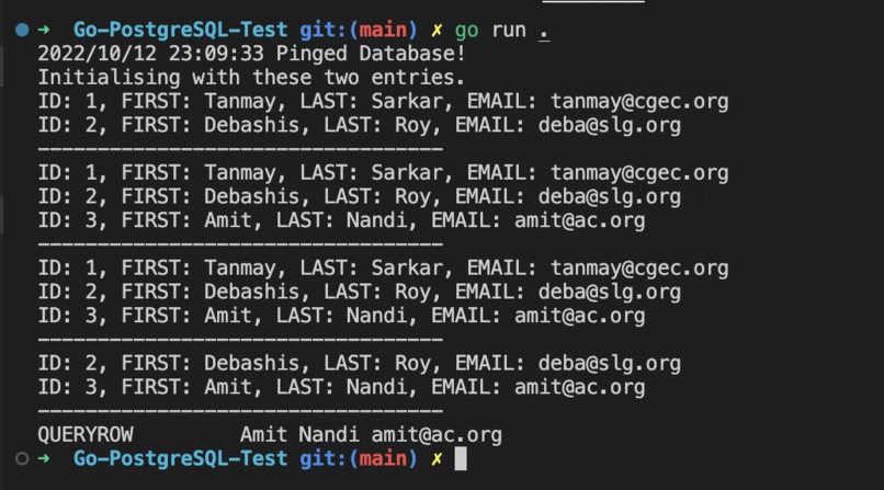 Go with Postgres – screenshot 1