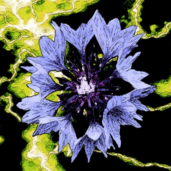 nature art – screenshot 13