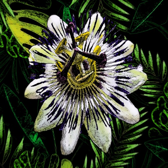 nature art – screenshot 23