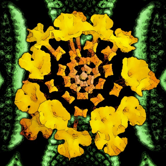 nature art – screenshot 9