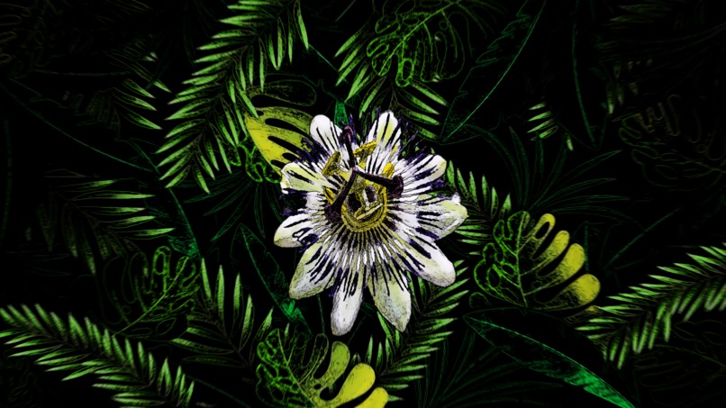nature art – screenshot 22