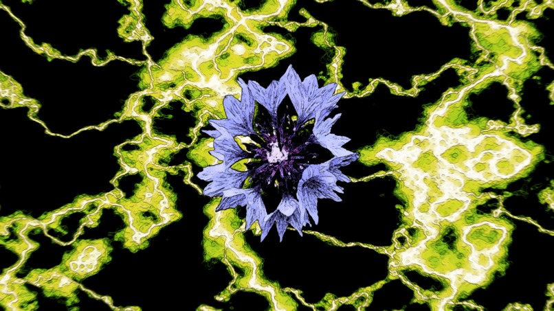 nature art – screenshot 12