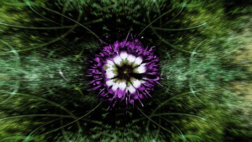 nature art – screenshot 4